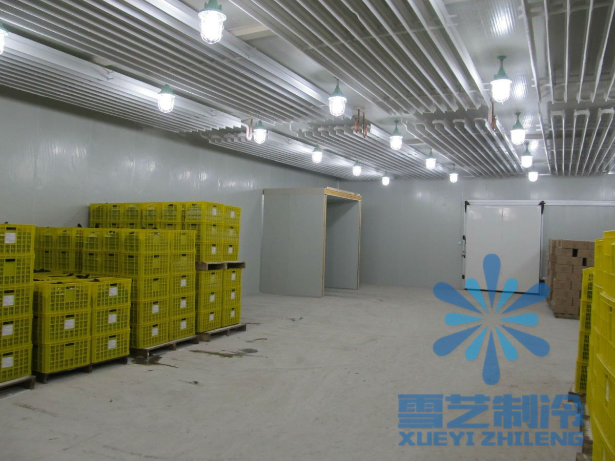 500平方冷庫(kù)安裝公司哪家好？冷庫(kù)設(shè)計(jì)安裝